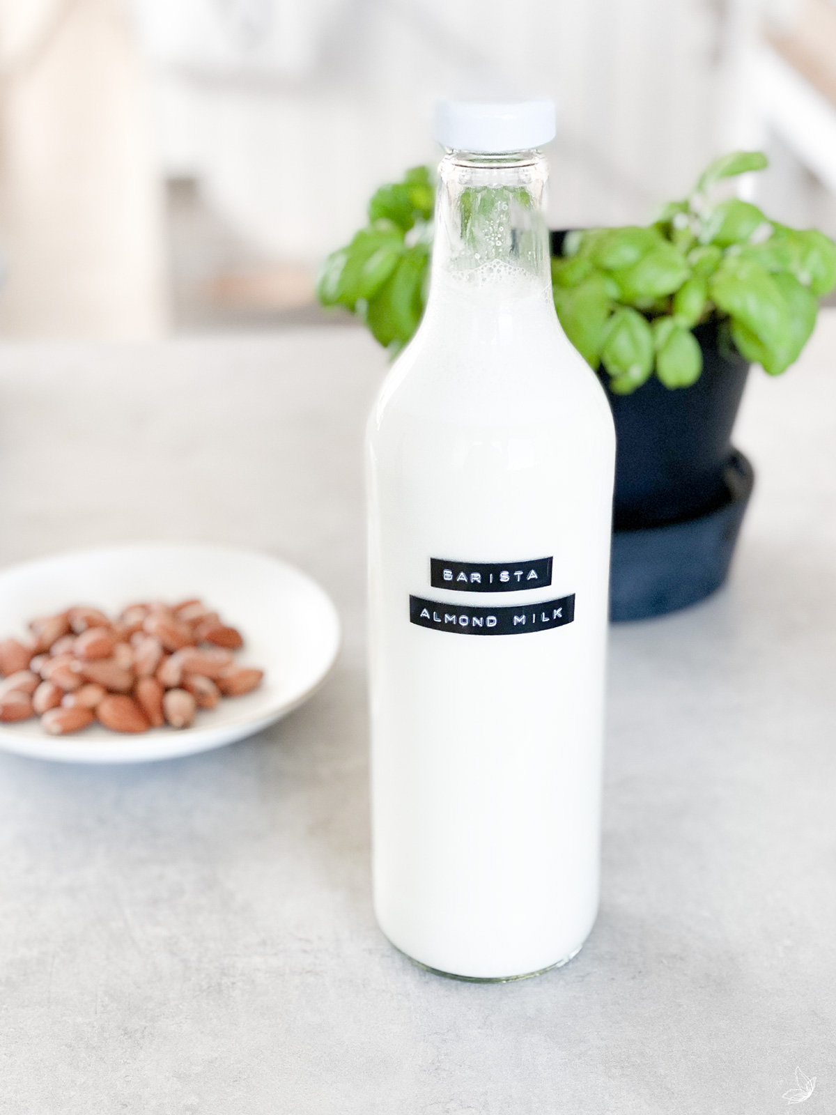 Rezept Mandelmilch Milch selber machen Baristamilch Vegane Milch vegan Pflanzenmilchrezept Barista Pflanzenmilch plantbased